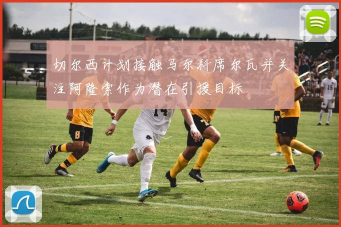 切尔西计划接触马尔科席尔瓦并关注阿隆索作为潜在引援目标